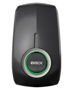 Elvi